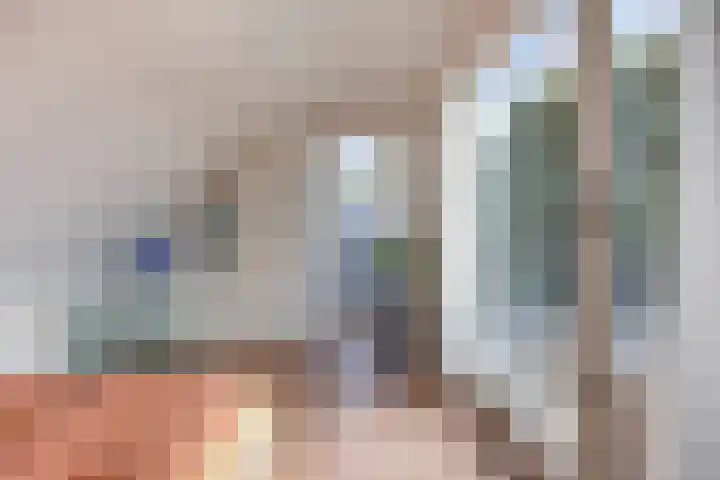 Hopman de Rijklaan 71 Vrouwenpolder thumbnail 20