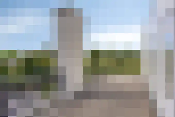 Hopman de Rijklaan 71 Vrouwenpolder thumbnail 22