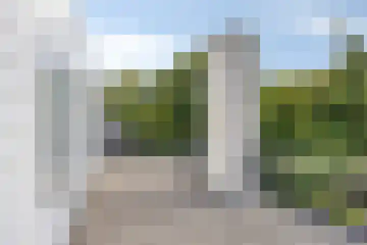 Hopman de Rijklaan 71 Vrouwenpolder thumbnail 23