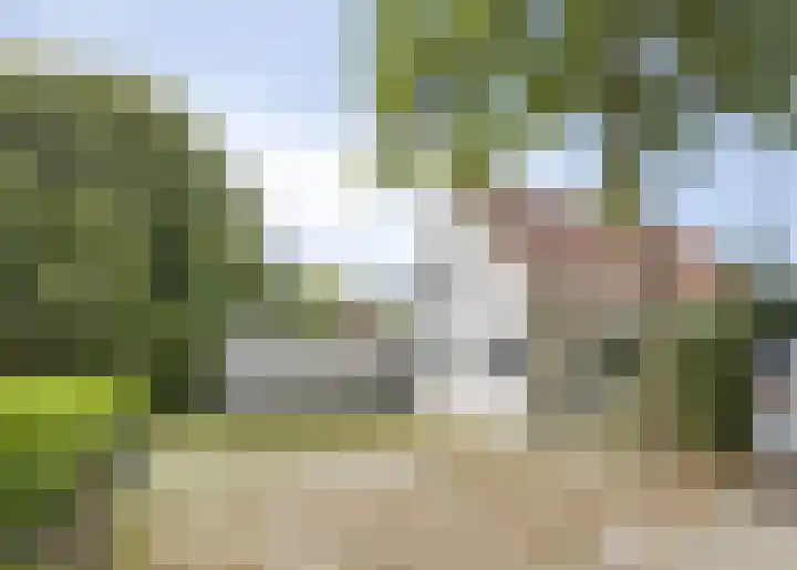 Hopman de Rijklaan 71 Vrouwenpolder thumbnail 24