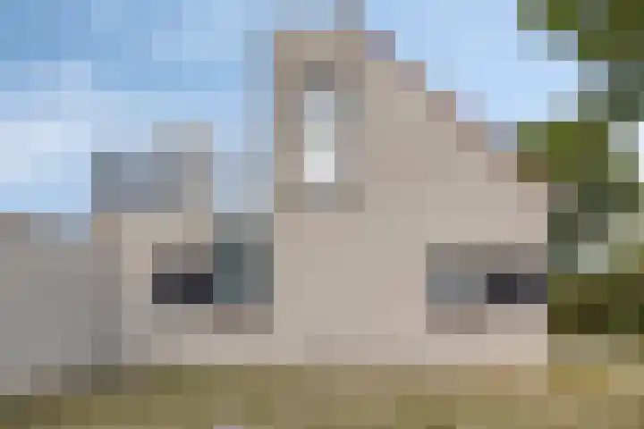Hopman de Rijklaan 71 Vrouwenpolder thumbnail 25