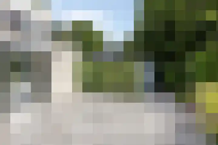 Hopman de Rijklaan 71 Vrouwenpolder thumbnail 26