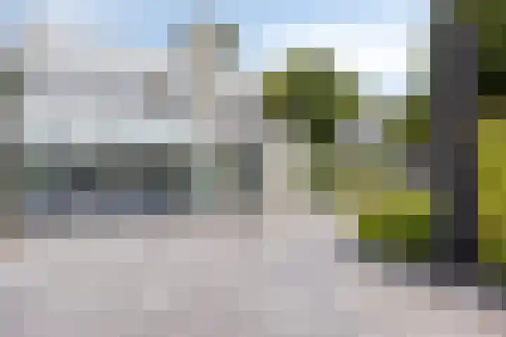 Hopman de Rijklaan 71 Vrouwenpolder thumbnail 27