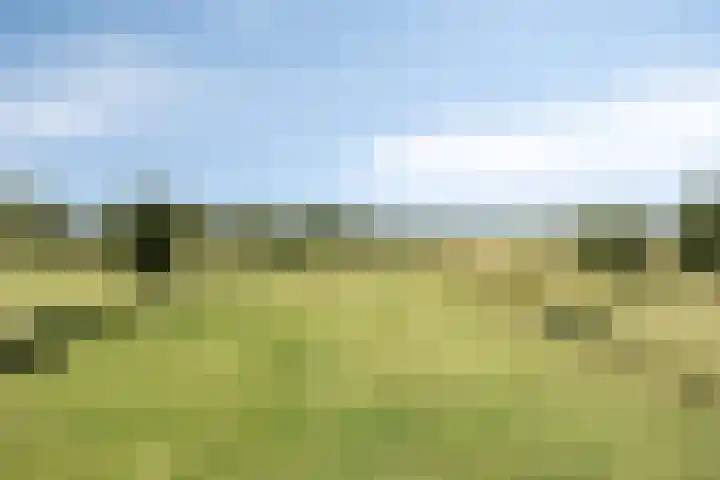 Hopman de Rijklaan 71 Vrouwenpolder thumbnail 29