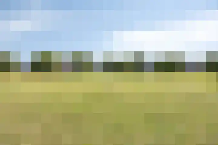 Hopman de Rijklaan 71 Vrouwenpolder thumbnail 30