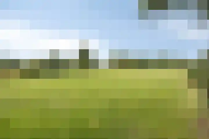 Hopman de Rijklaan 71 Vrouwenpolder thumbnail 31