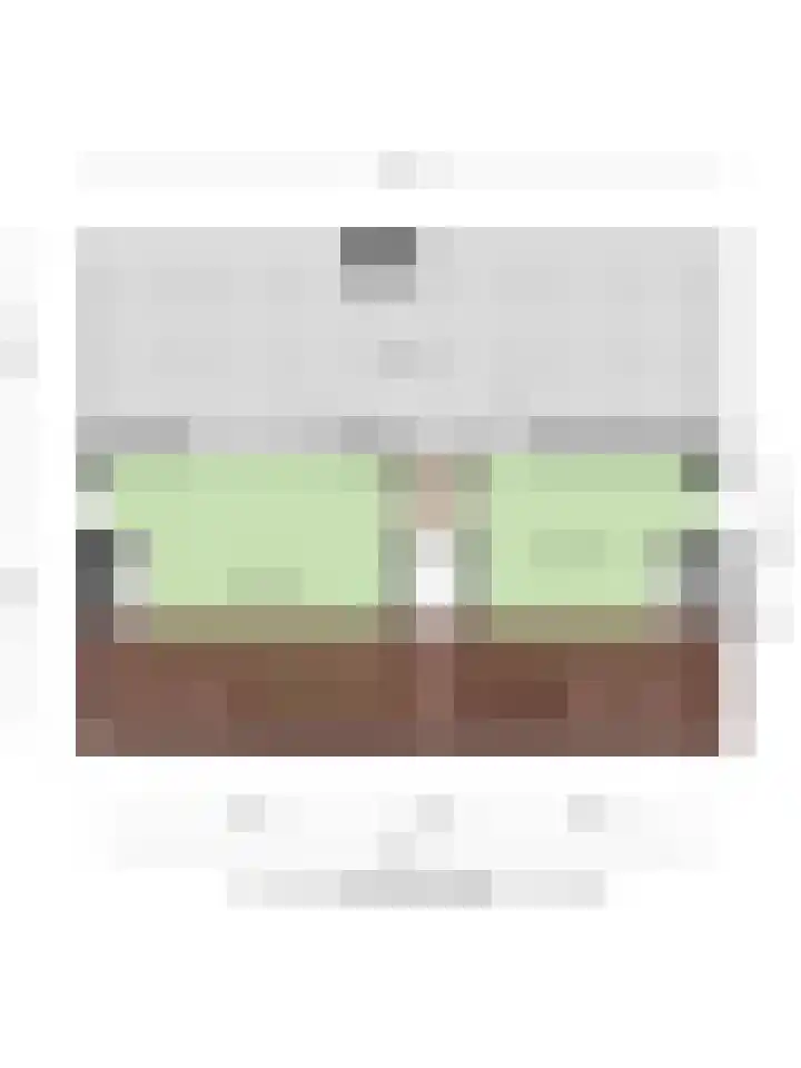 Hopman de Rijklaan 71 Vrouwenpolder thumbnail 34
