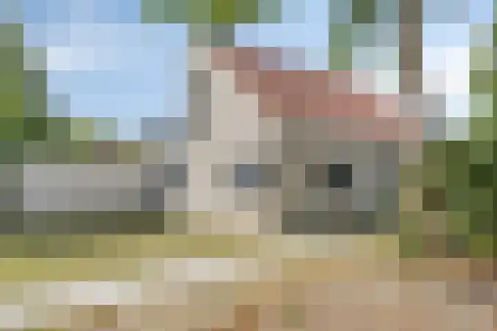 Hopman de Rijklaan 71 Vrouwenpolder thumbnail 4