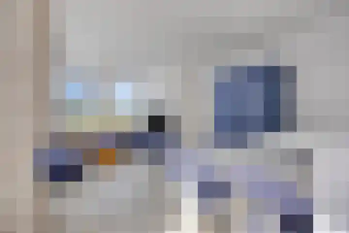 Hopman de Rijklaan 71 Vrouwenpolder thumbnail 8