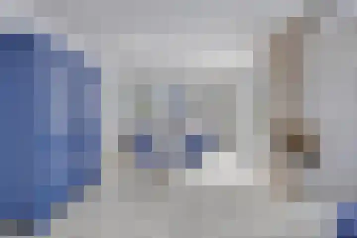 Hopman de Rijklaan 71 Vrouwenpolder thumbnail 9