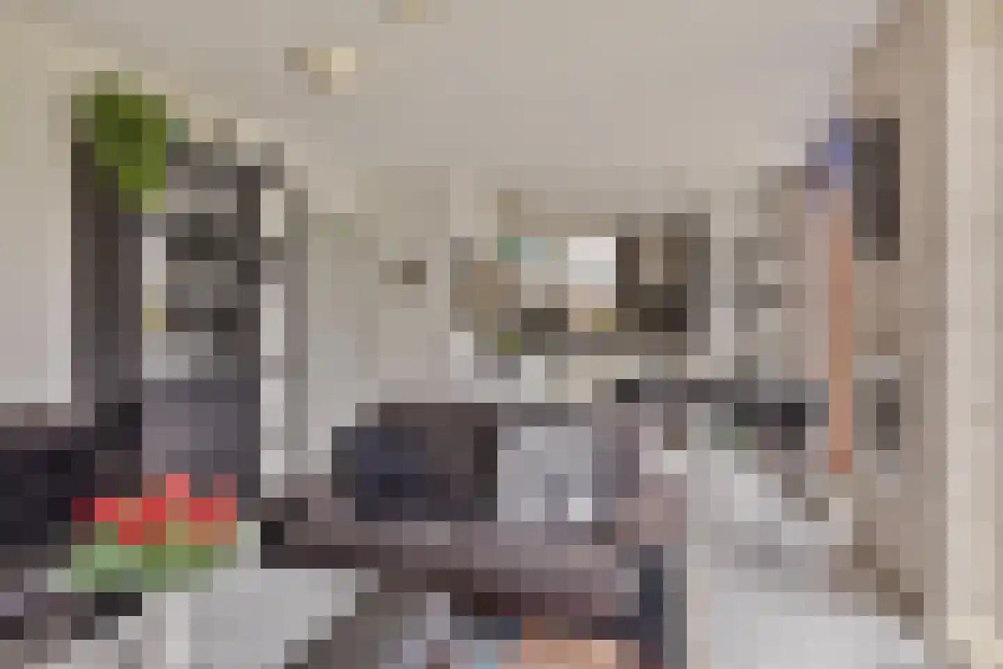 Hopman de Rijklaan 99 Vrouwenpolder thumbnail 10