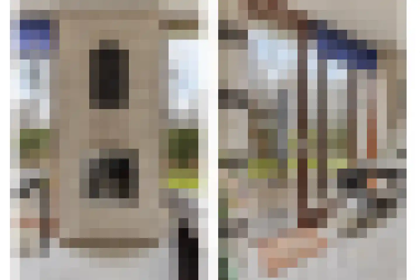 Hopman de Rijklaan 99 Vrouwenpolder thumbnail 11
