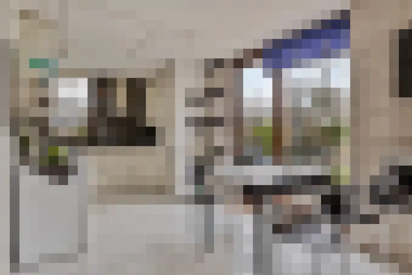 Hopman de Rijklaan 99 Vrouwenpolder thumbnail 12