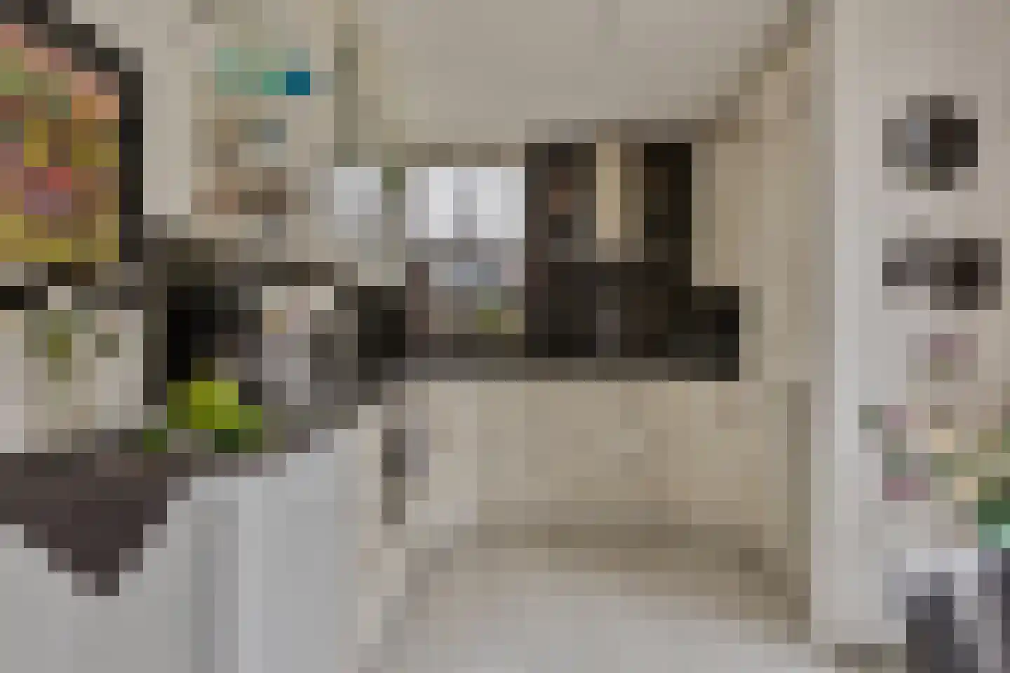 Hopman de Rijklaan 99 Vrouwenpolder thumbnail 13