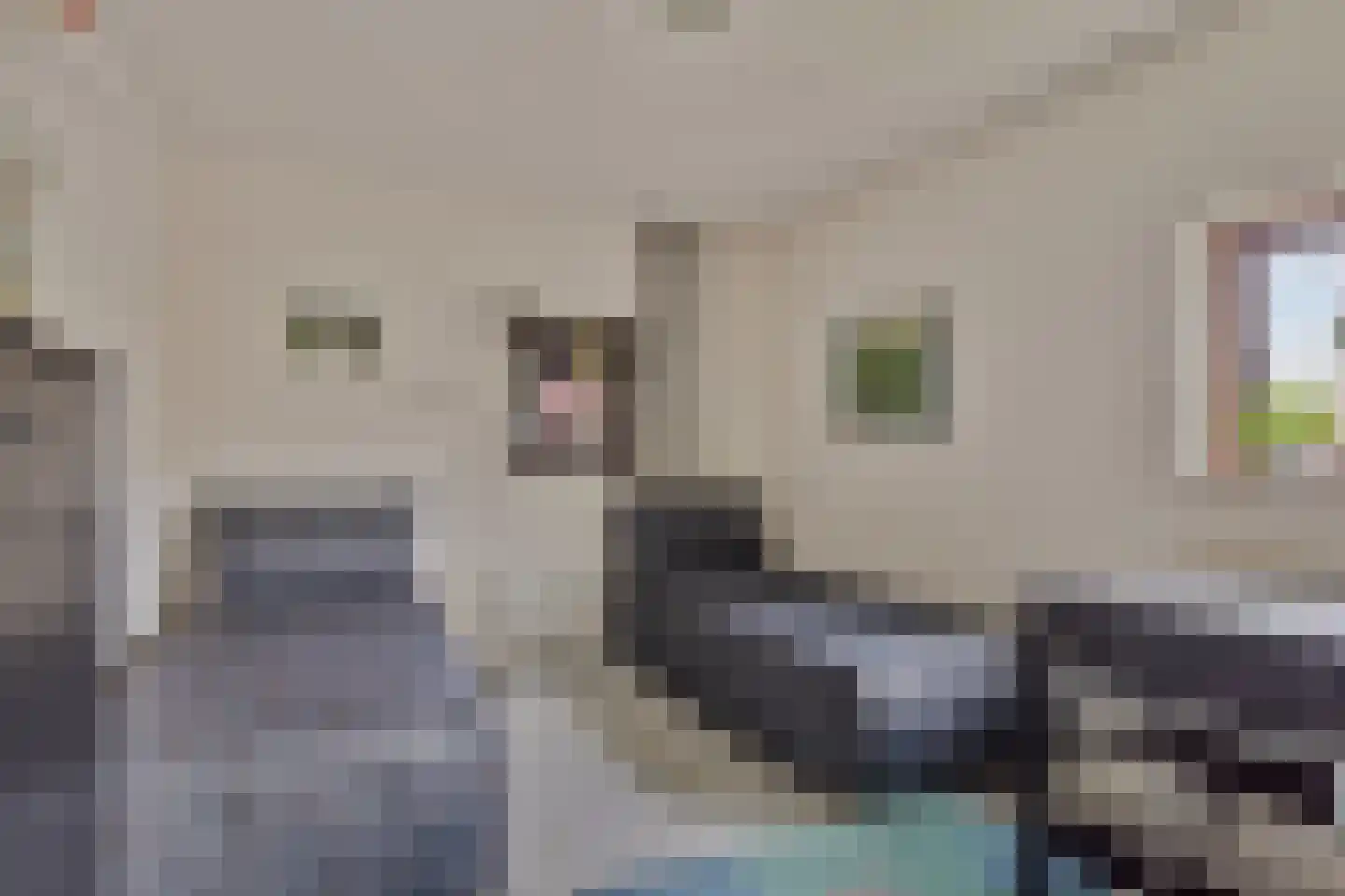 Hopman de Rijklaan 99 Vrouwenpolder thumbnail 15