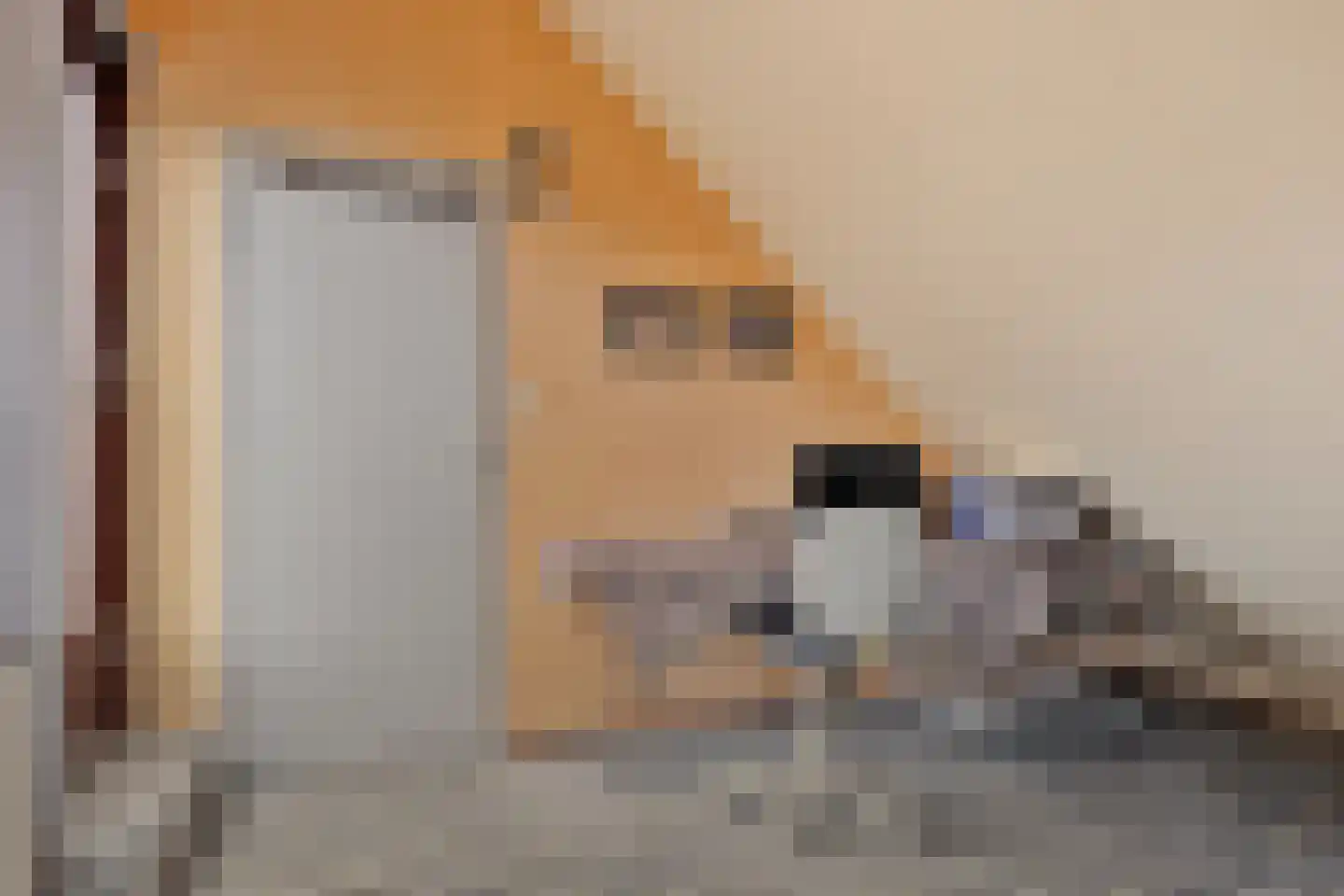 Hopman de Rijklaan 99 Vrouwenpolder thumbnail 21