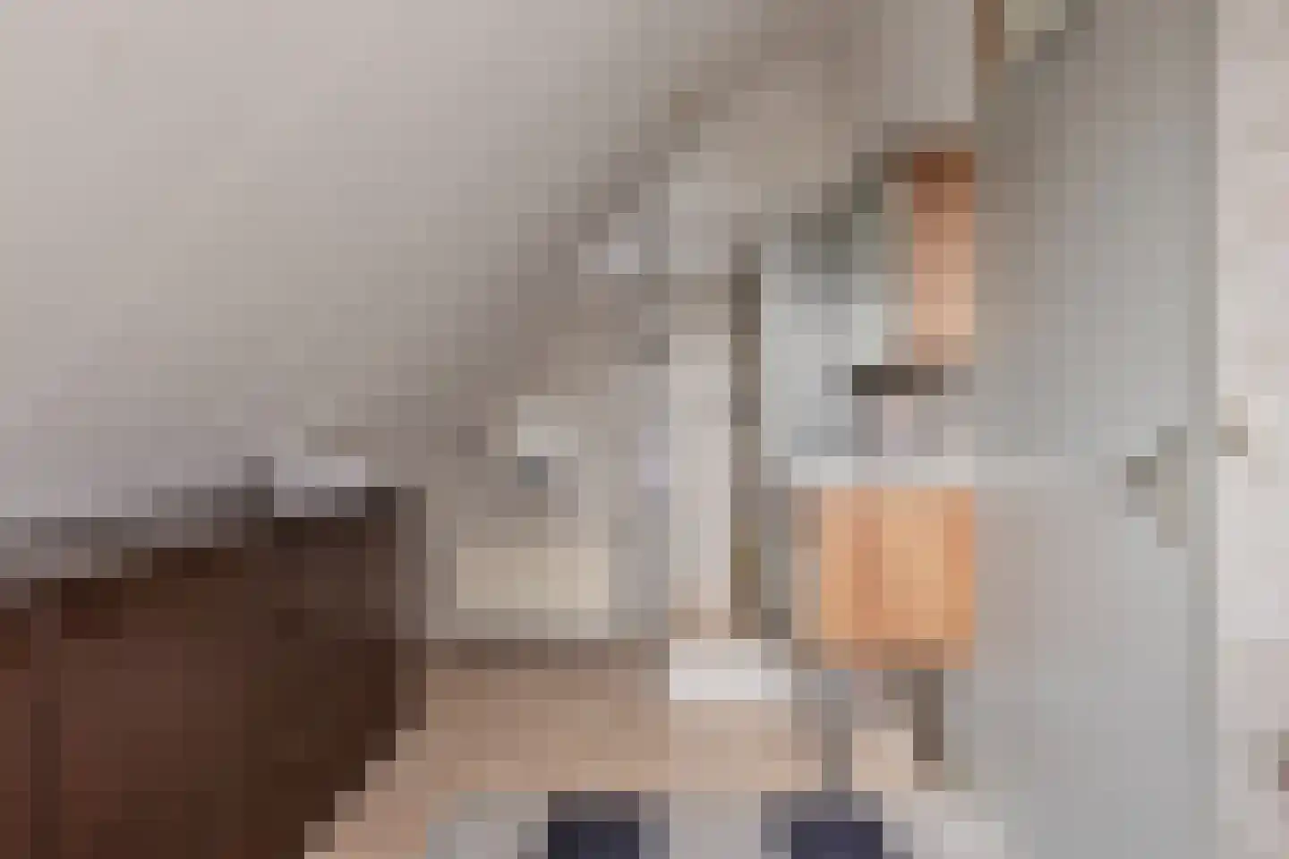 Hopman de Rijklaan 99 Vrouwenpolder thumbnail 22