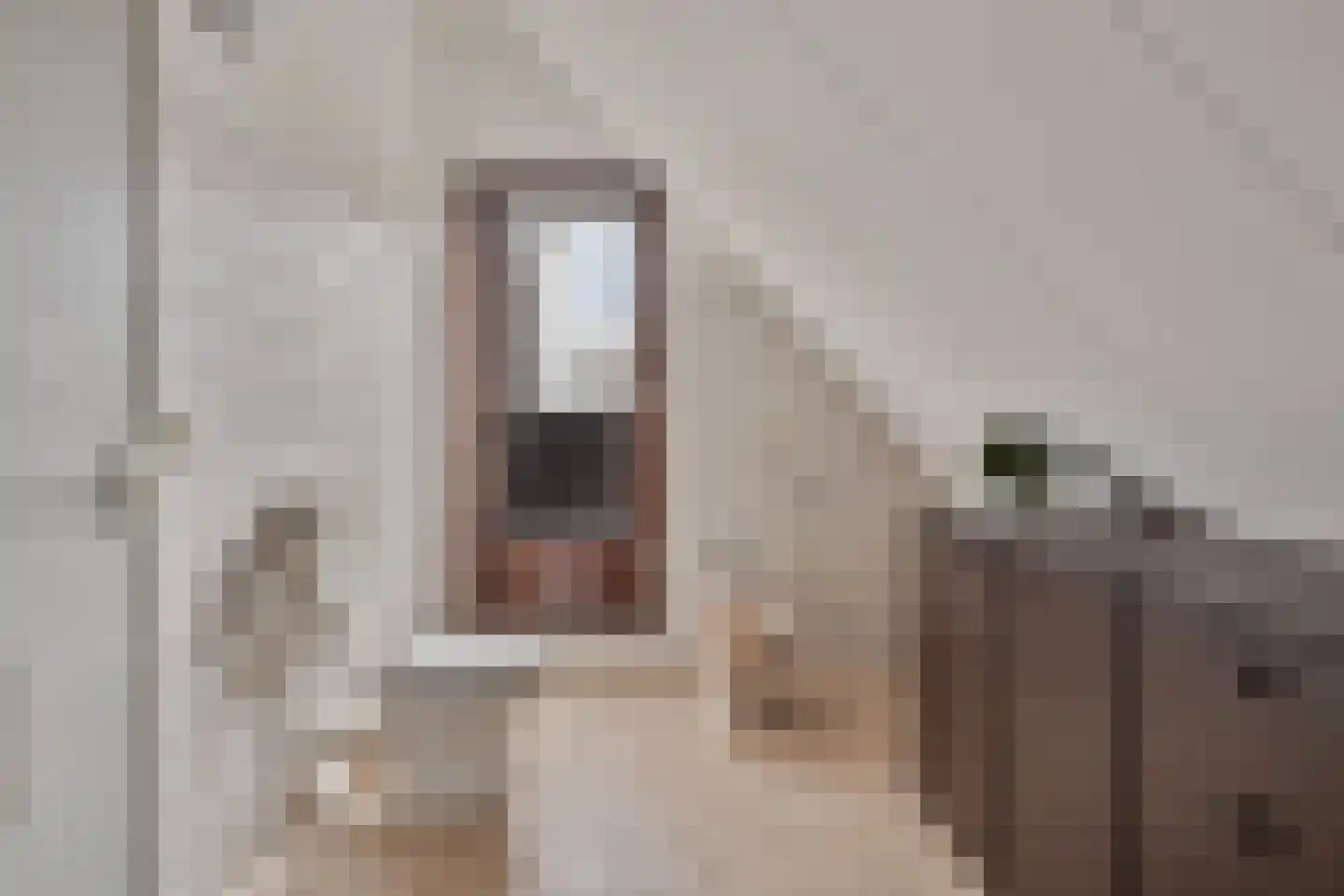 Hopman de Rijklaan 99 Vrouwenpolder thumbnail 23
