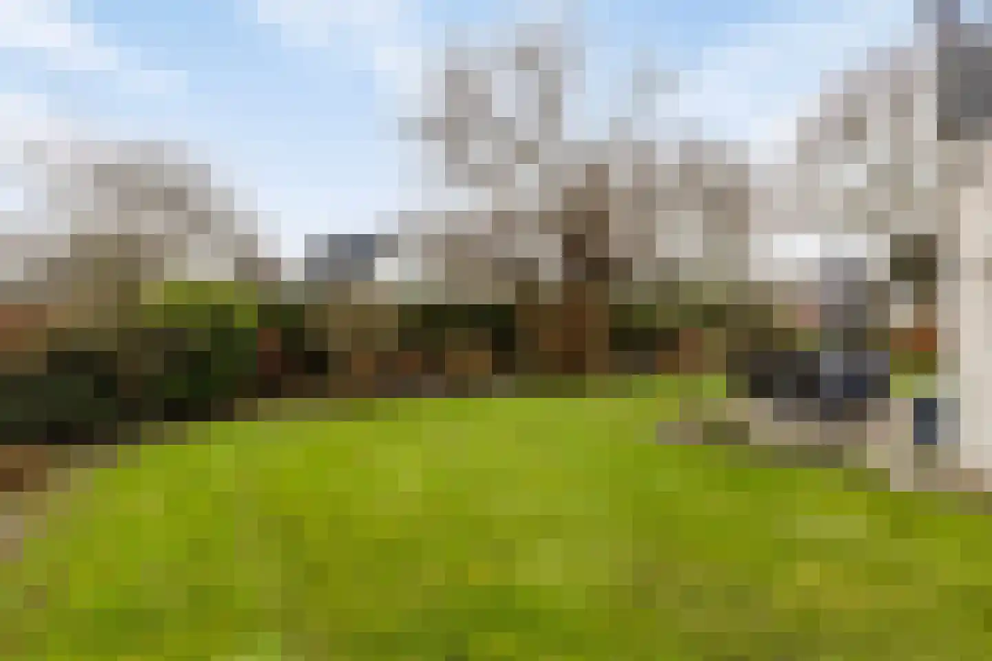 Hopman de Rijklaan 99 Vrouwenpolder thumbnail 30