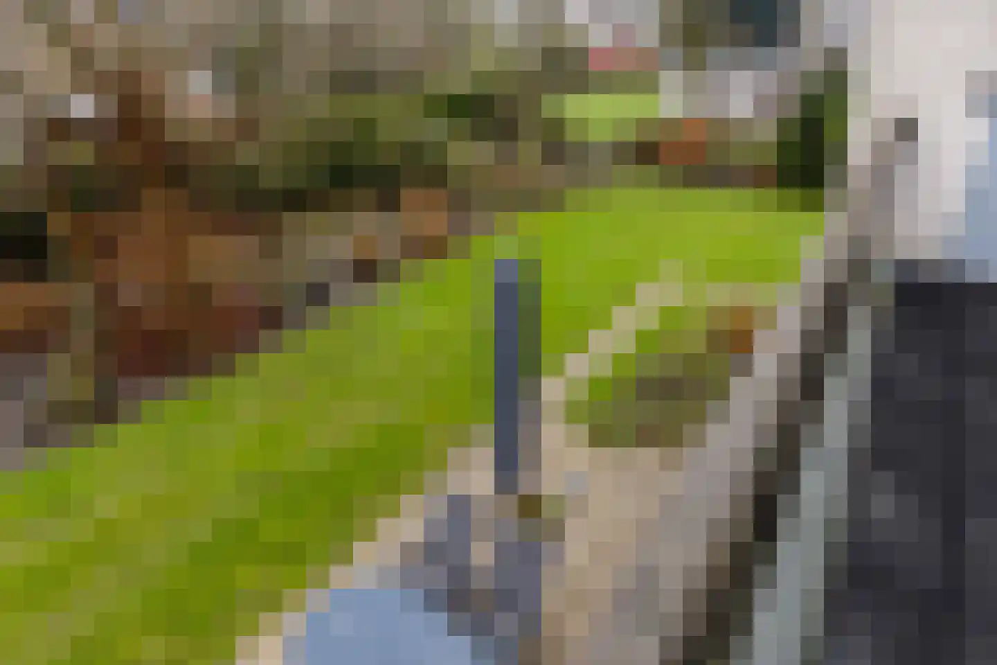 Hopman de Rijklaan 99 Vrouwenpolder thumbnail 31