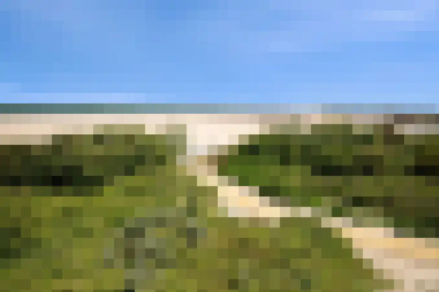 Hopman de Rijklaan 99 Vrouwenpolder thumbnail 33
