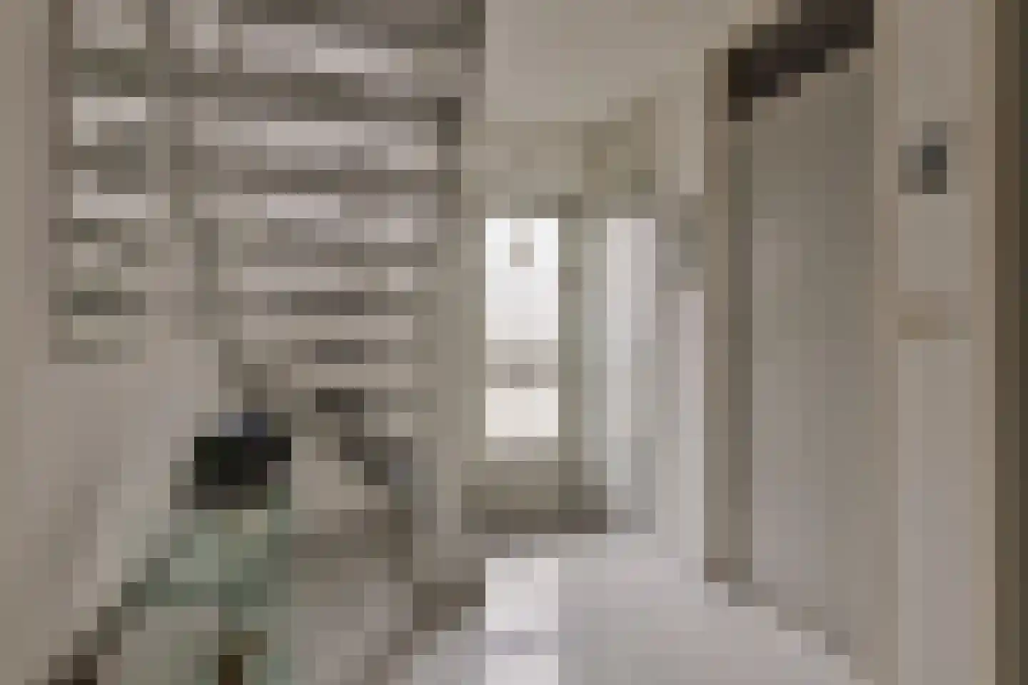 Hopman de Rijklaan 99 Vrouwenpolder thumbnail 5
