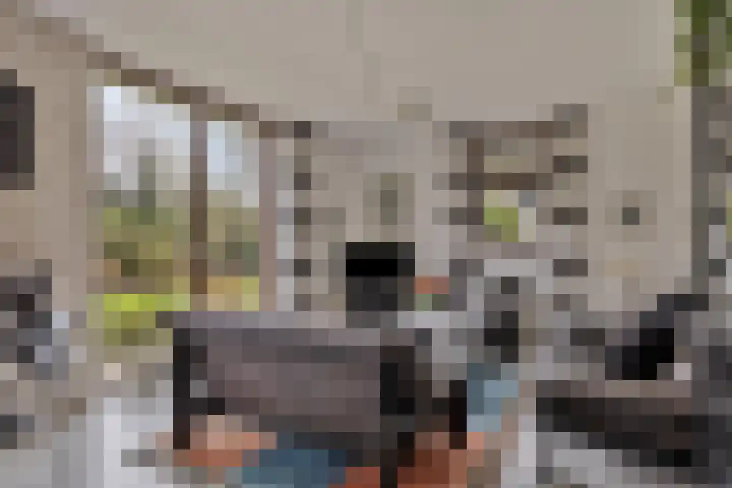 Hopman de Rijklaan 99 Vrouwenpolder thumbnail 7