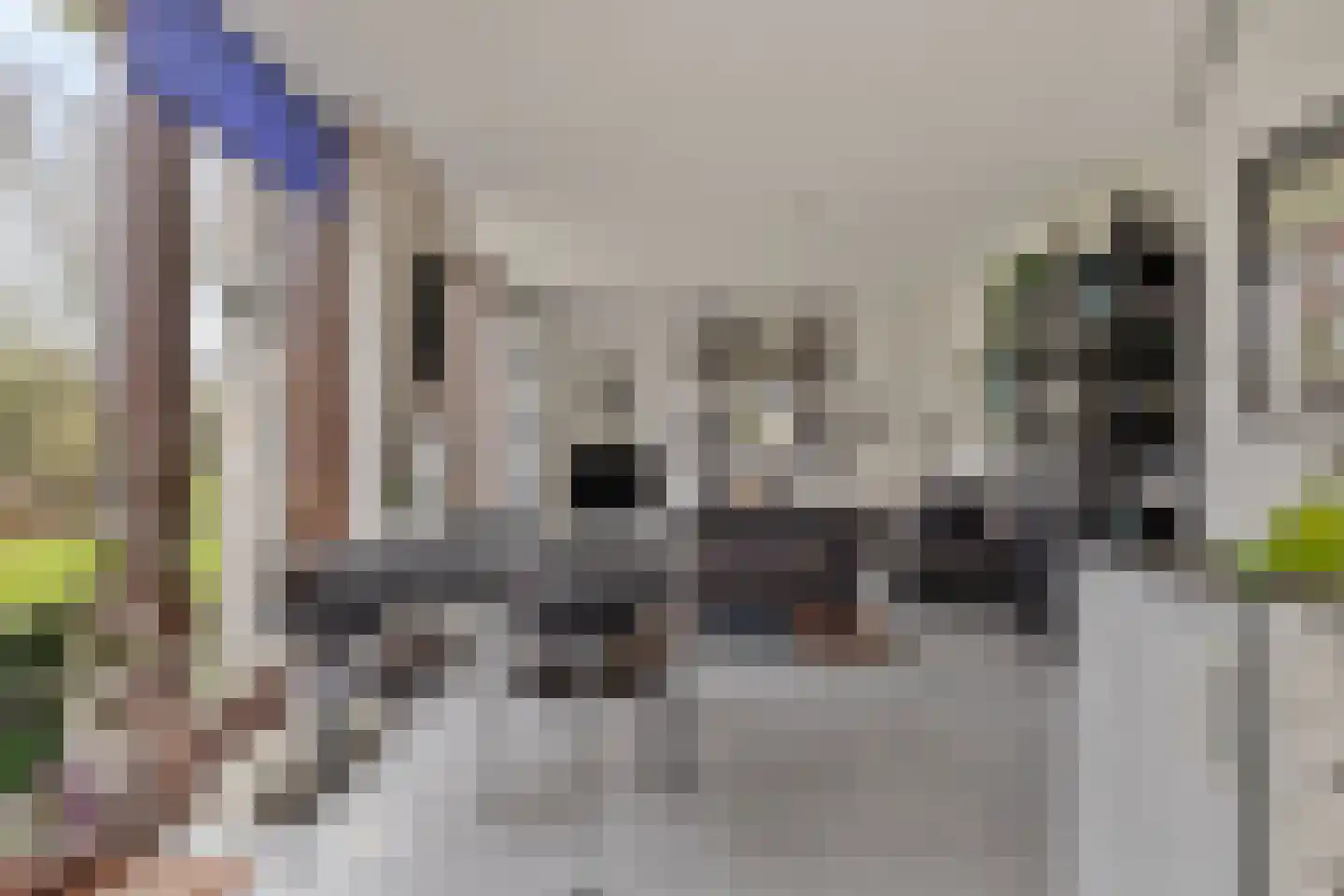 Hopman de Rijklaan 99 Vrouwenpolder thumbnail 8