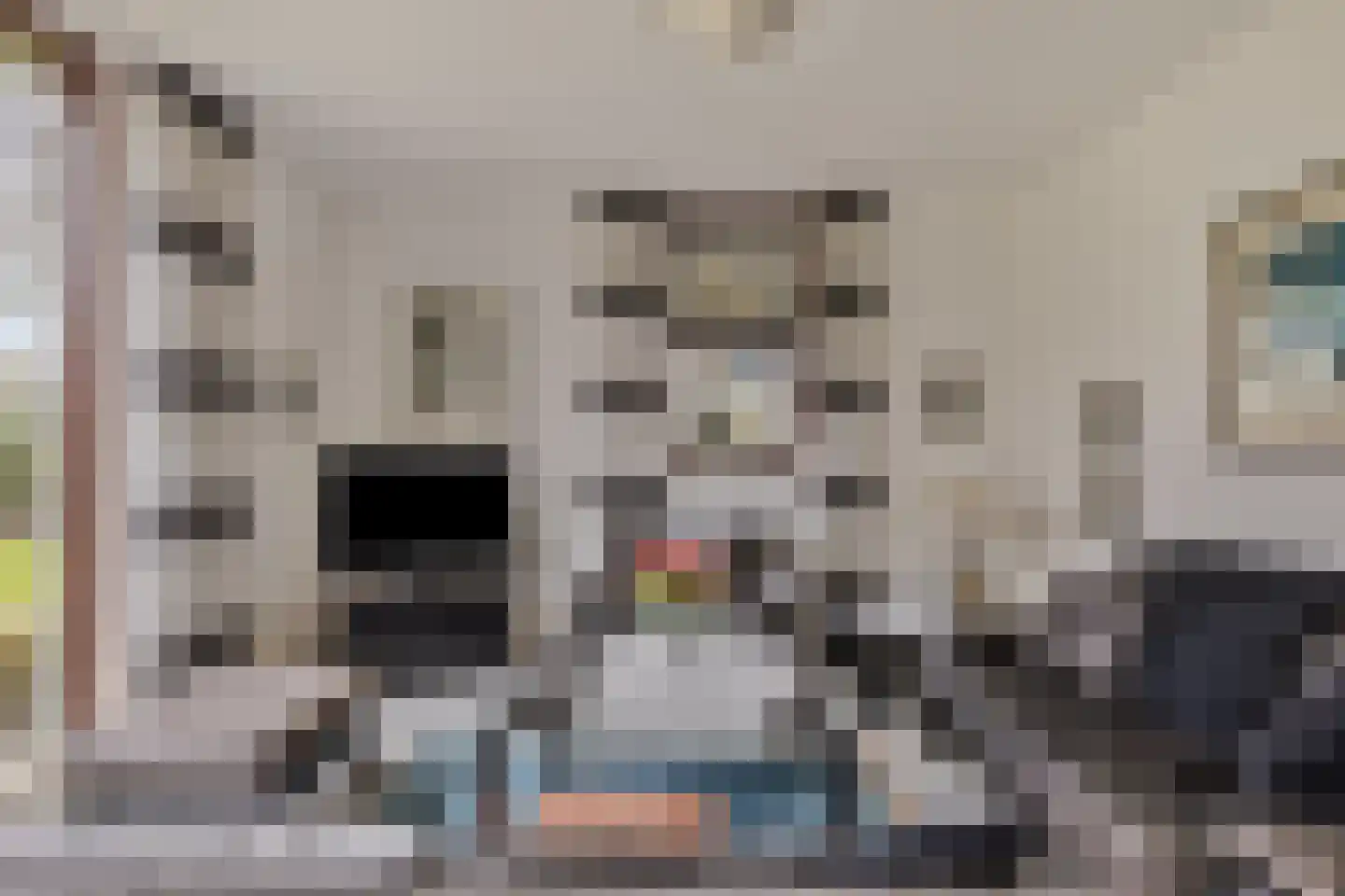 Hopman de Rijklaan 99 Vrouwenpolder thumbnail 9
