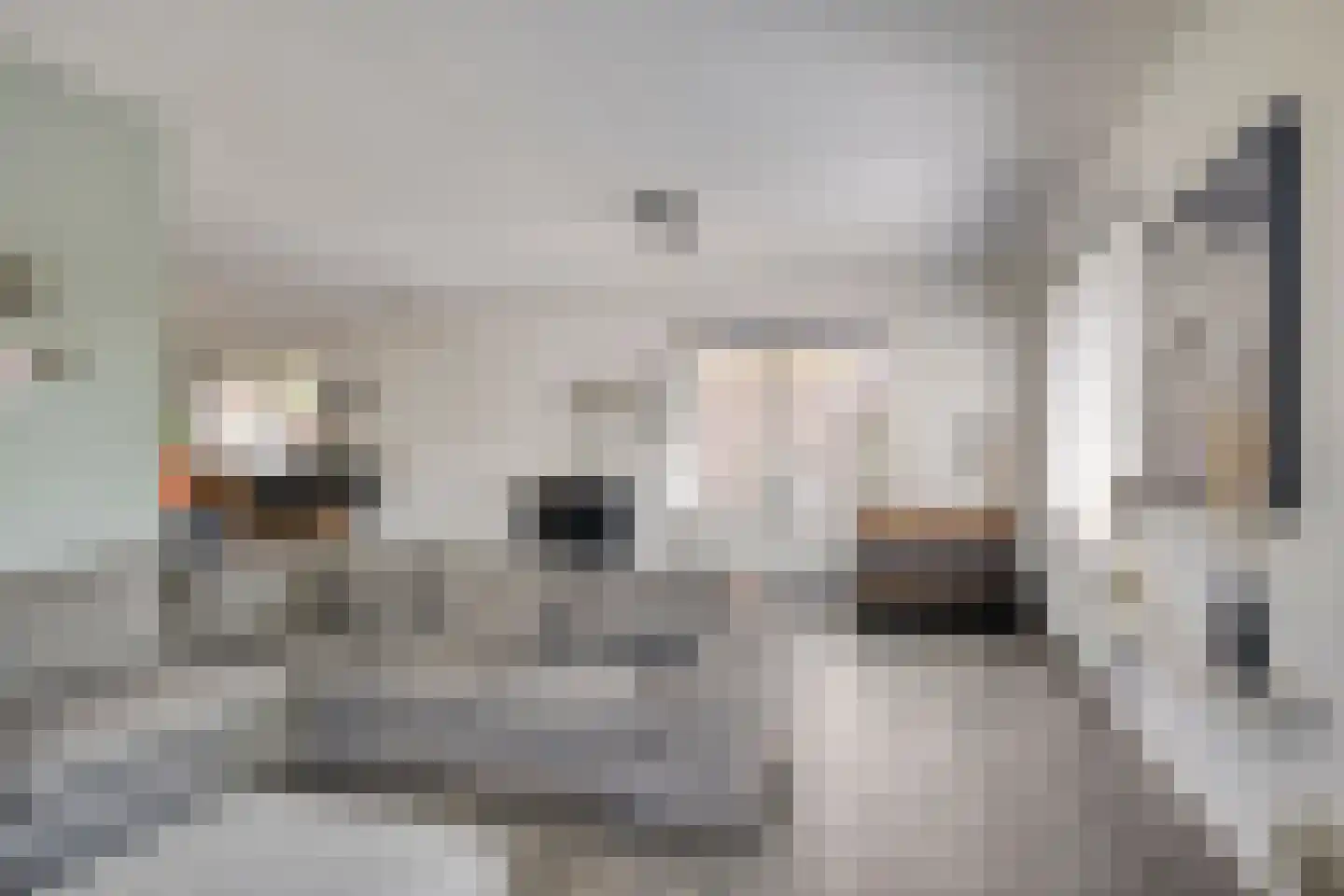 Hopmande 4 Domburg thumbnail 10