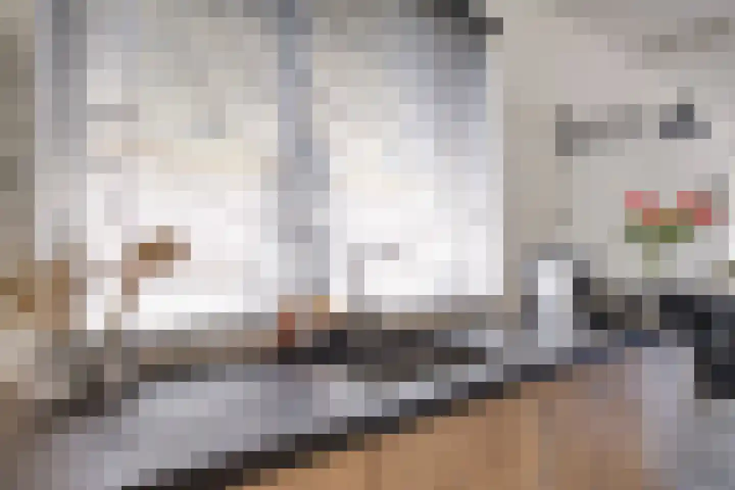 Hopmande 4 Domburg thumbnail 13