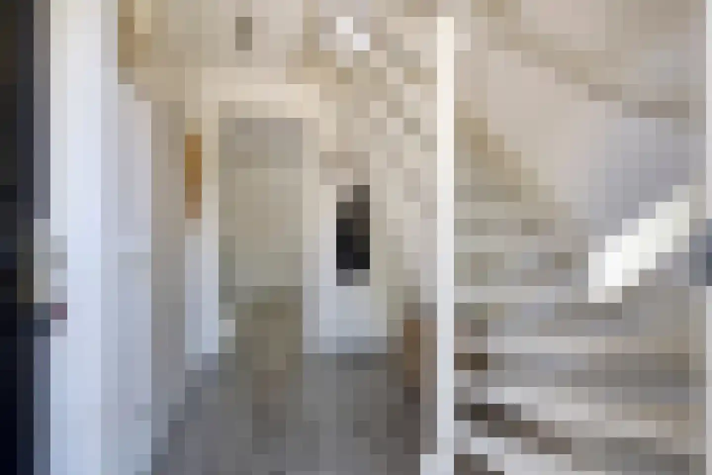 Hopmande 4 Domburg thumbnail 17