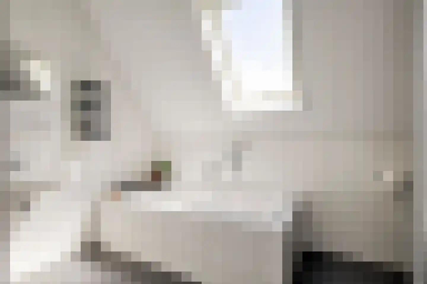Hopmande 4 Domburg thumbnail 23