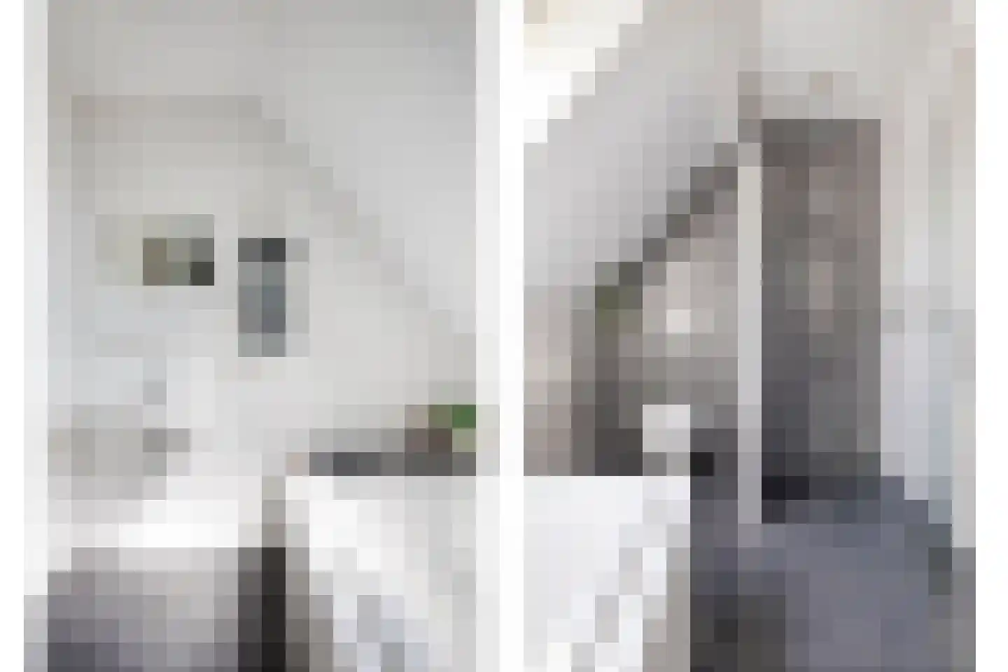 Hopmande 4 Domburg thumbnail 24