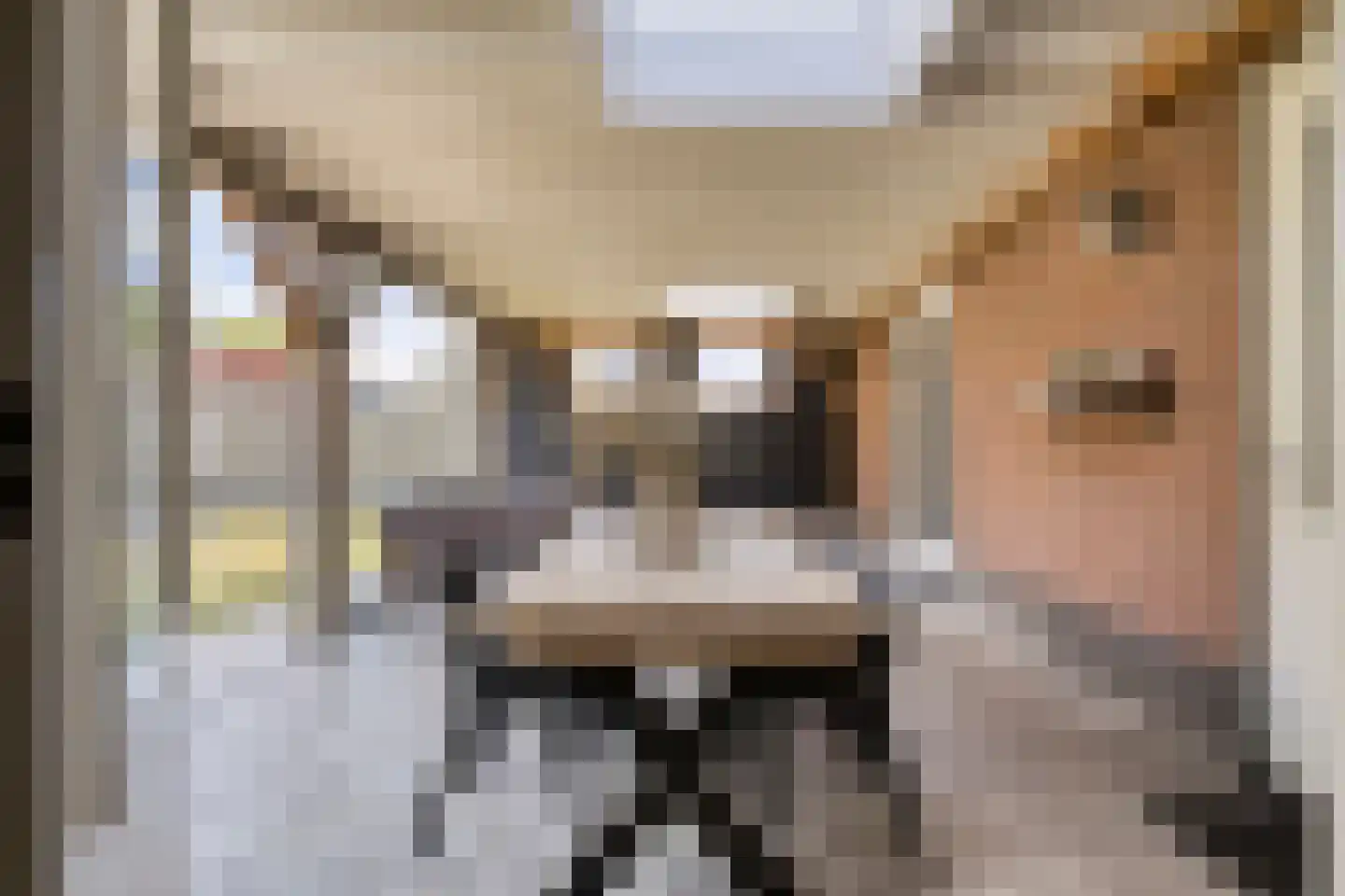 Hopmande 4 Domburg thumbnail 32