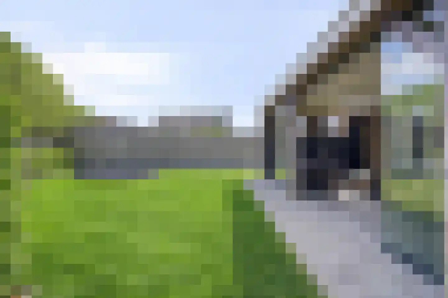 Hopmande 4 Domburg thumbnail 33