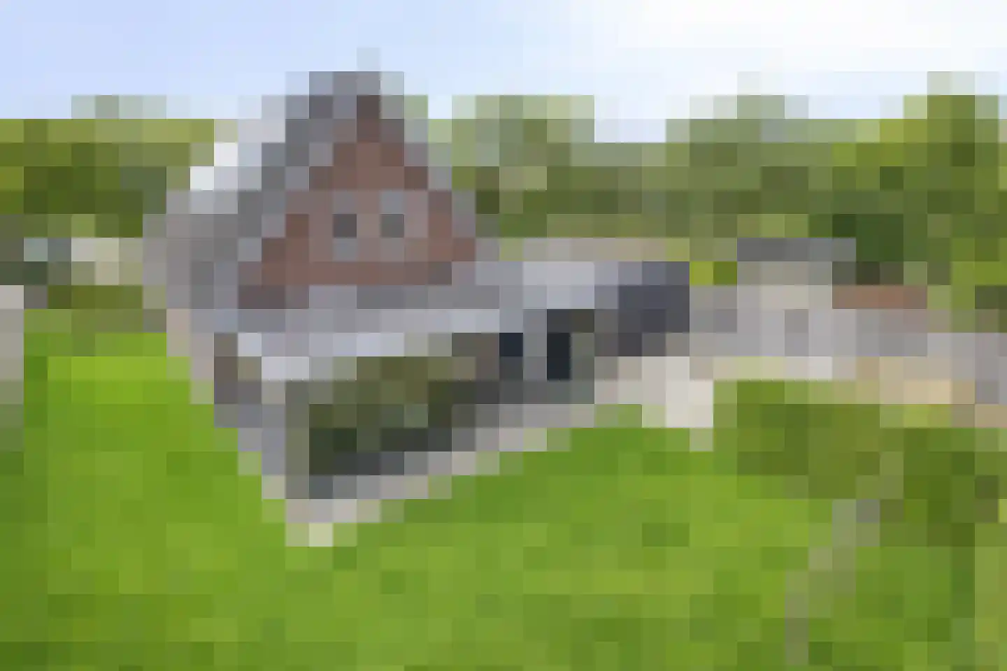 Hopmande 4 Domburg thumbnail 4