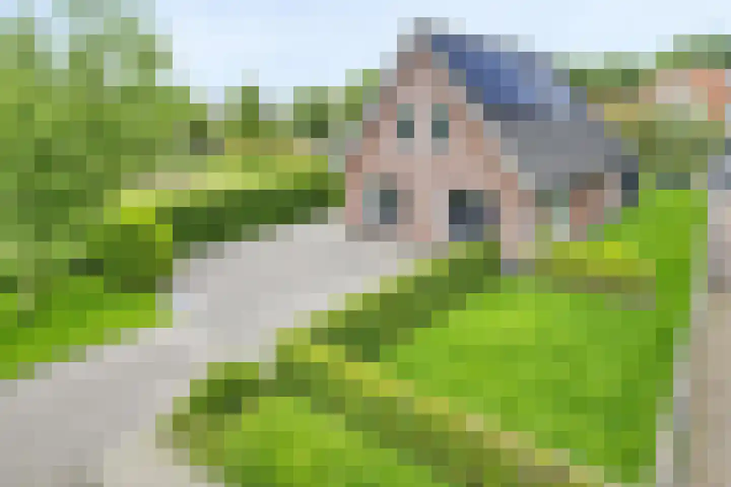 Hopmande 4 Domburg thumbnail 42
