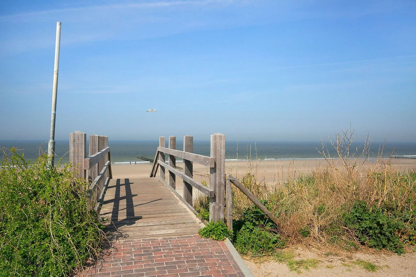 Hopmande 4 Domburg thumbnail 43