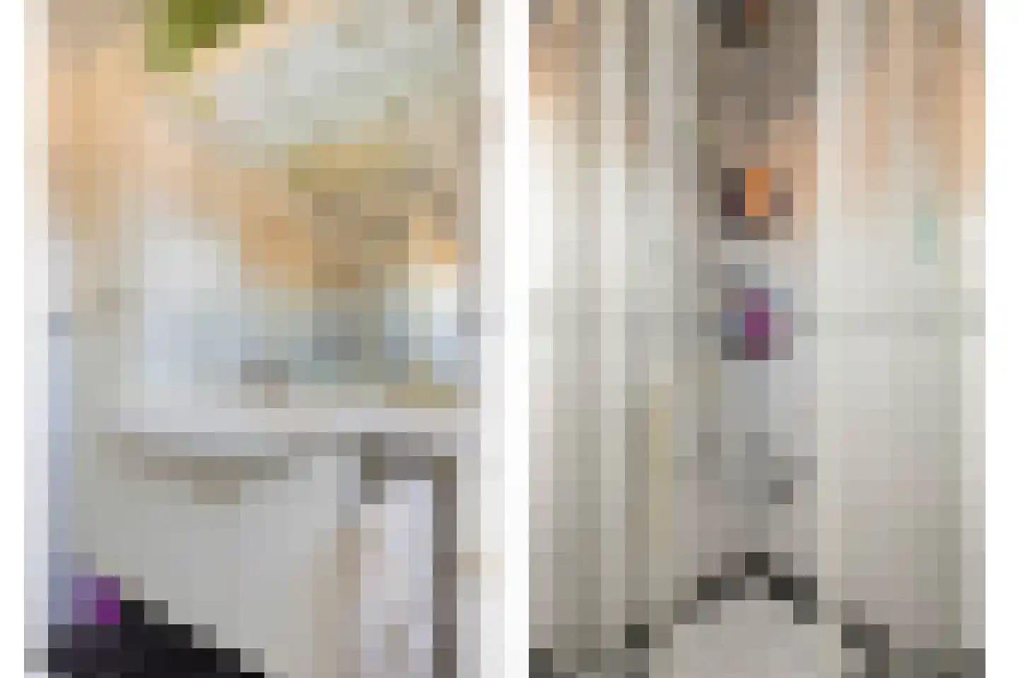 Hopmande 7 Domburg thumbnail 17