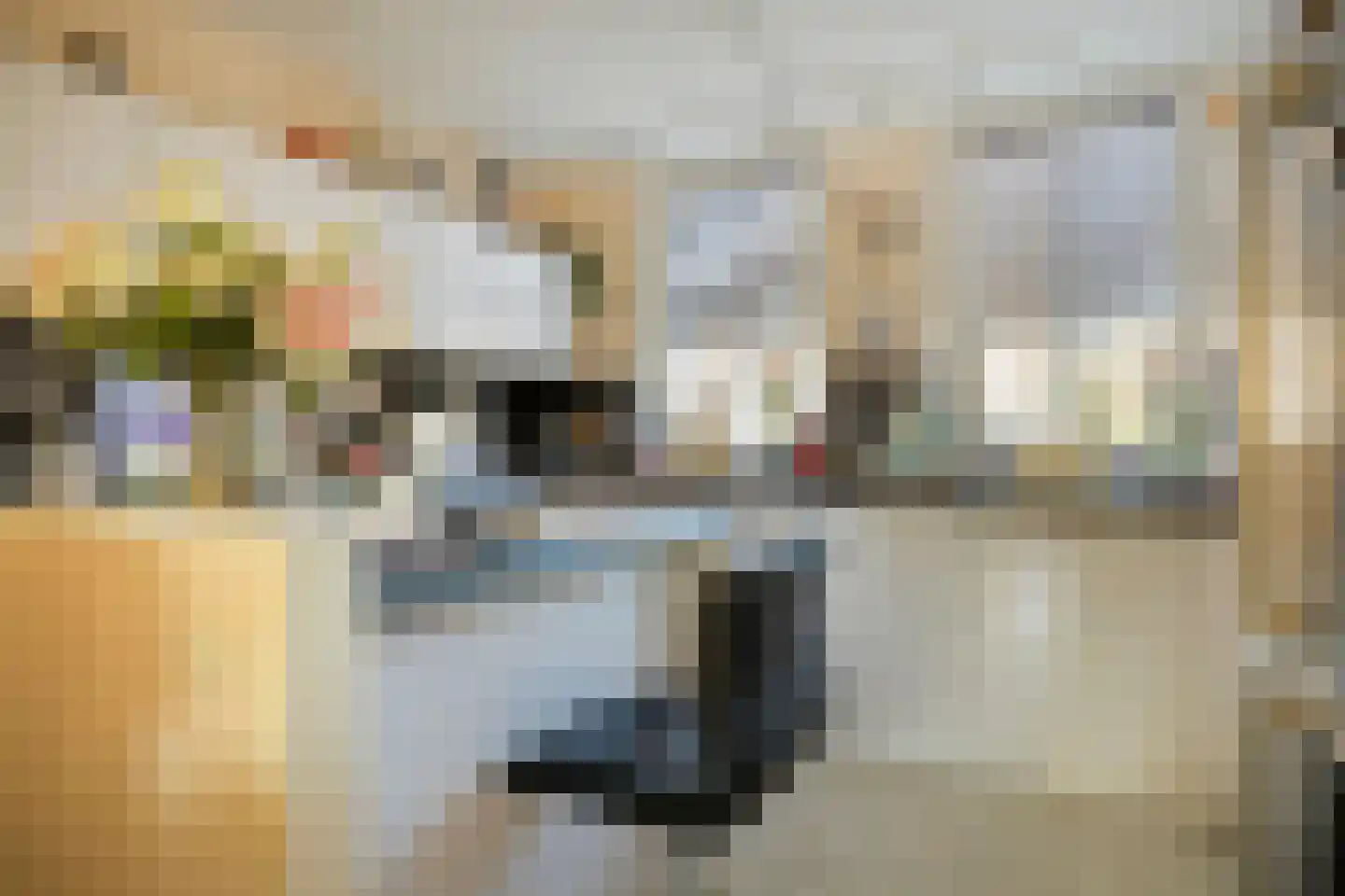 Hopmande 7 Domburg thumbnail 5
