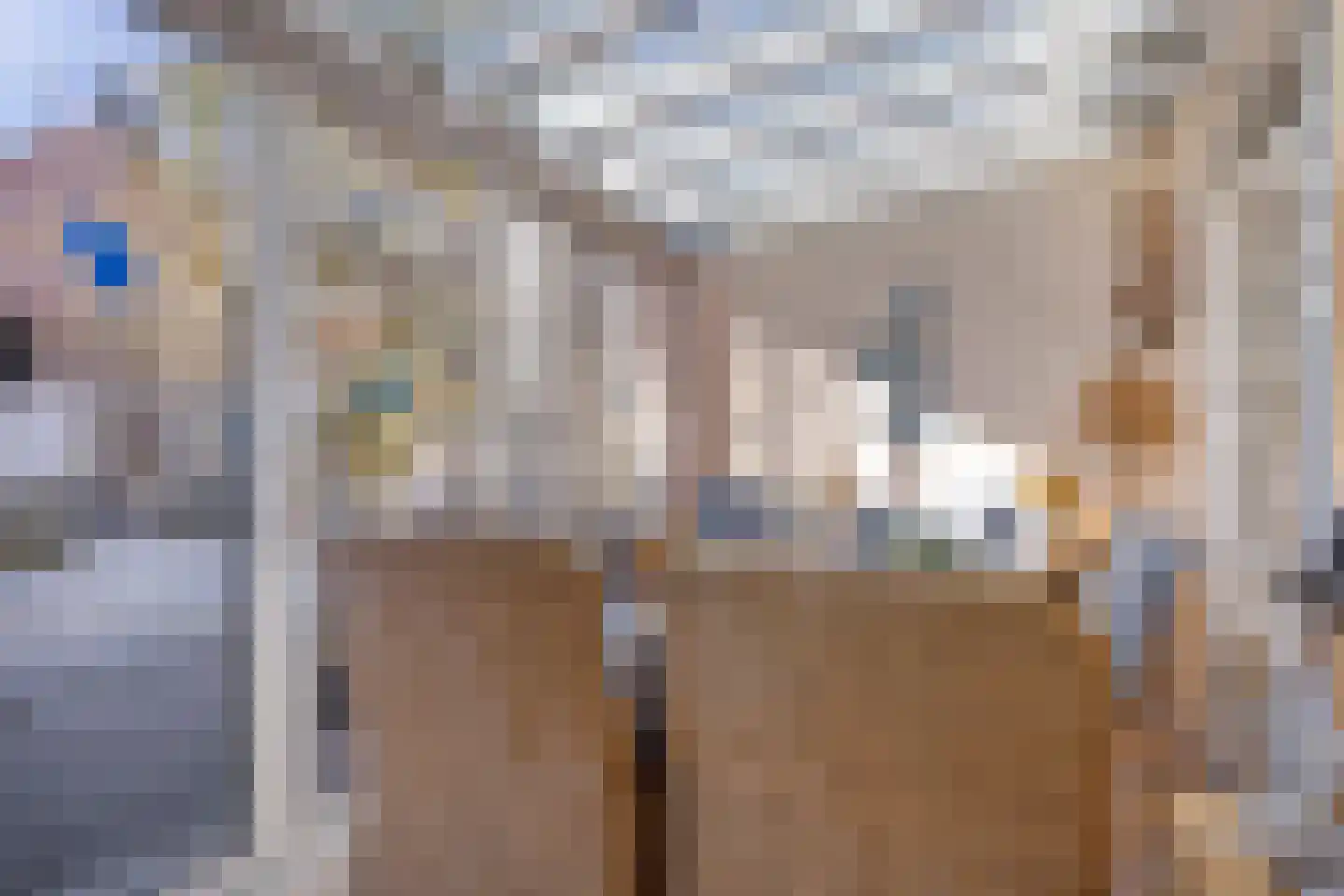 Hopmande 7 Domburg thumbnail 7