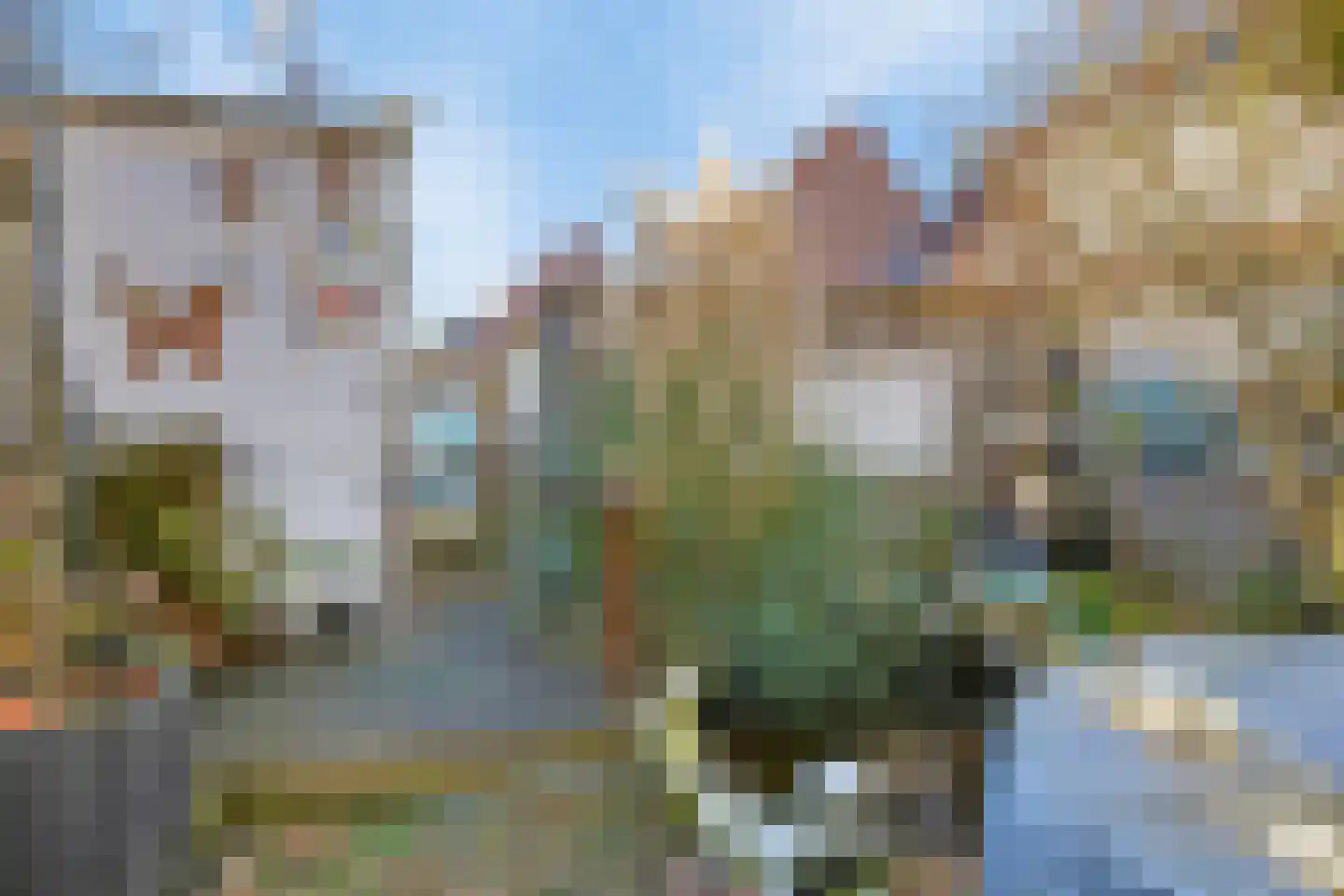Hopmande 7 Domburg thumbnail 9
