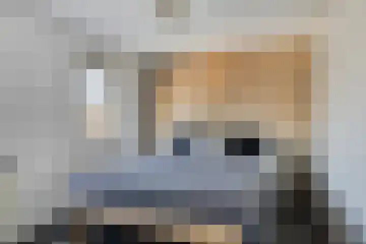 Hopmanstraat 33 Denekamp thumbnail 17