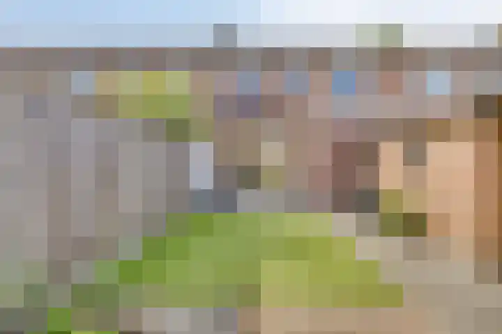 Hopmanstraat 33 Denekamp thumbnail 27