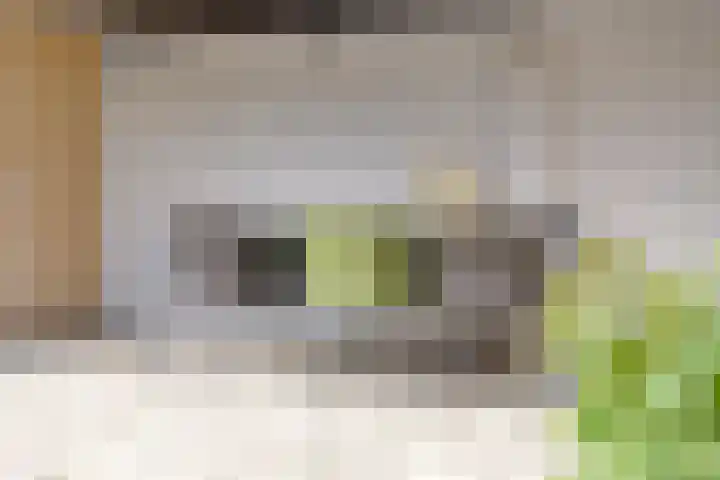 Hopmanstraat 33 Denekamp thumbnail 30