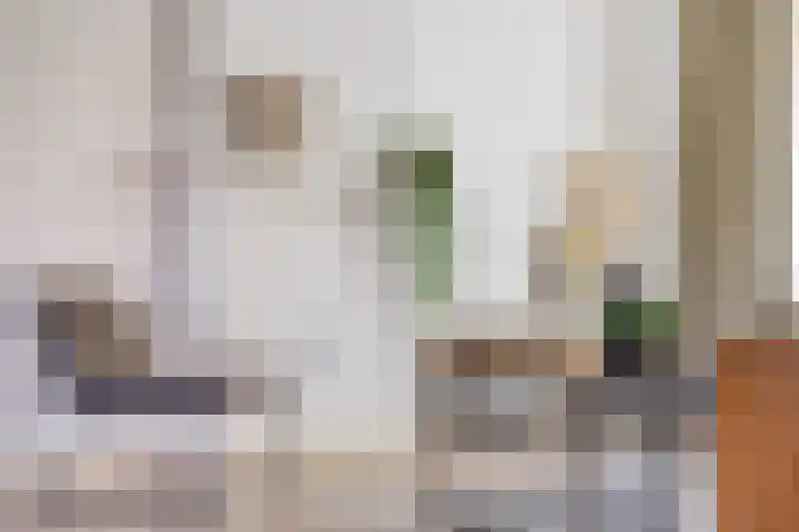 Hopmanstraat 33 Denekamp thumbnail 6