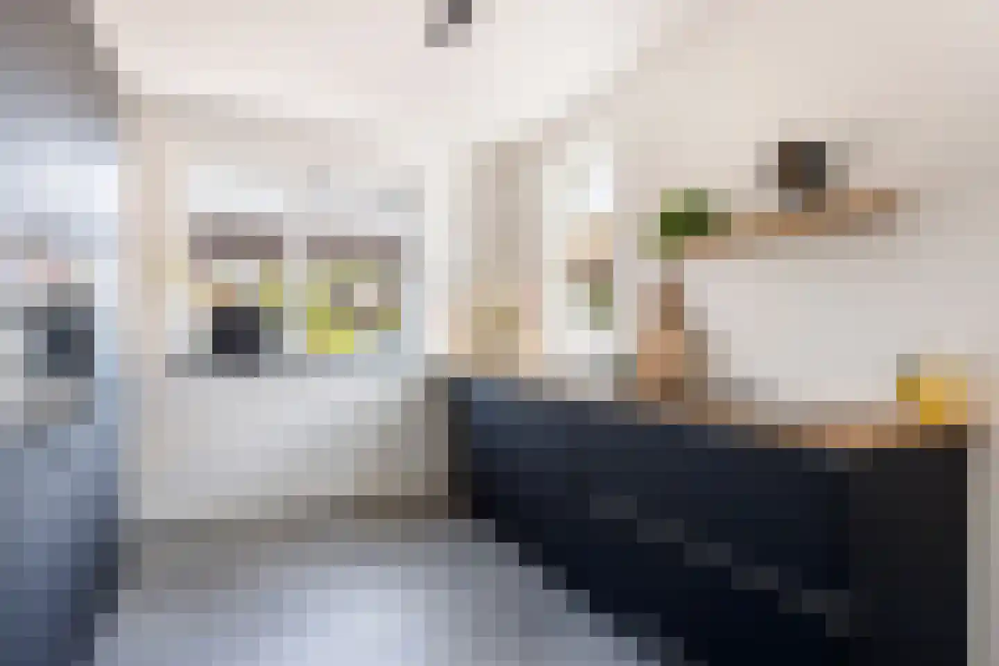 Hopmanstraat 40 Denekamp thumbnail 11