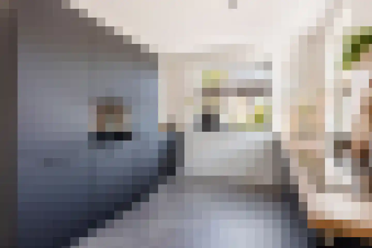 Hopmanstraat 40 Denekamp thumbnail 12