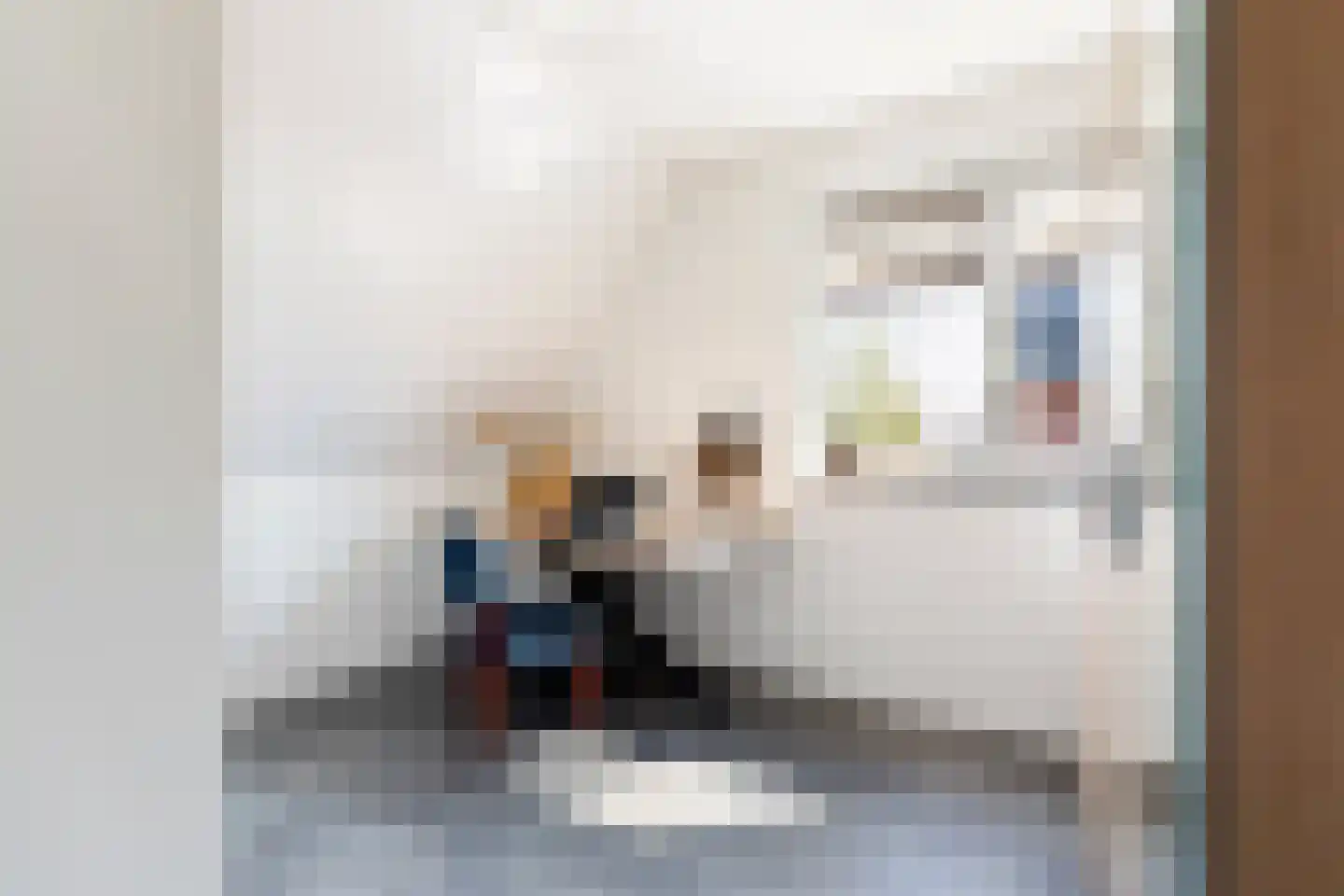 Hopmanstraat 40 Denekamp thumbnail 17